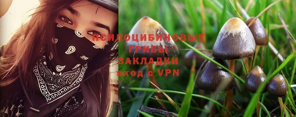 не бодяженный Алексин