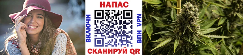 Купить закладки  Туринск  Каннабис марихуана 